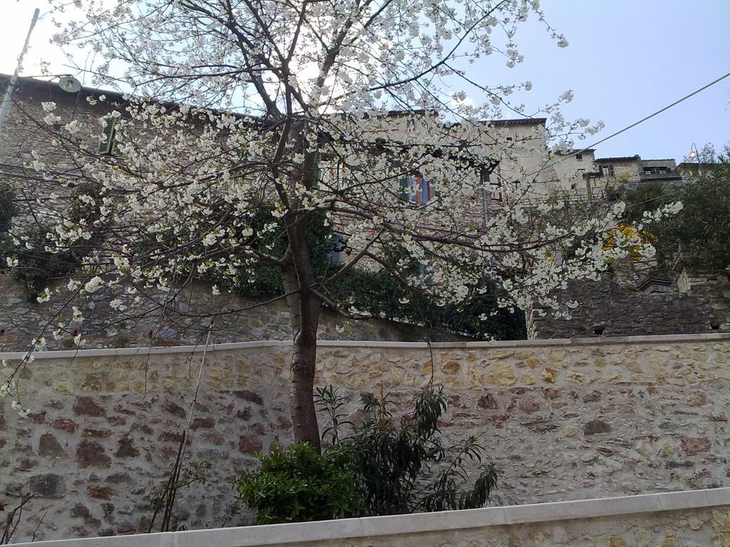 Il Paradiso Nel Borgo Arrone ภายนอก รูปภาพ