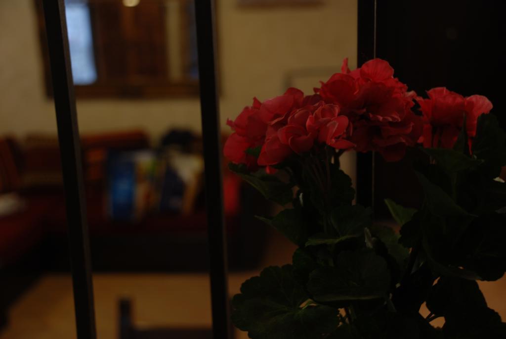 Il Paradiso Nel Borgo Arrone ภายนอก รูปภาพ